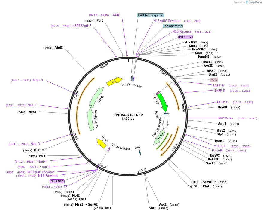 288144_map