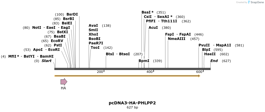 28815_map