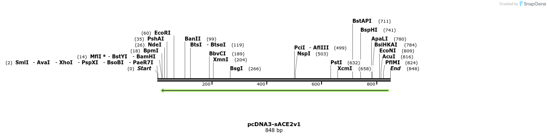 288158_map