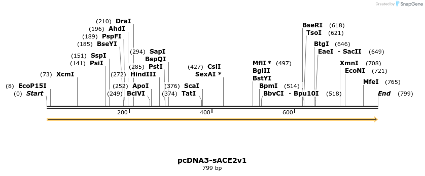 288159_map