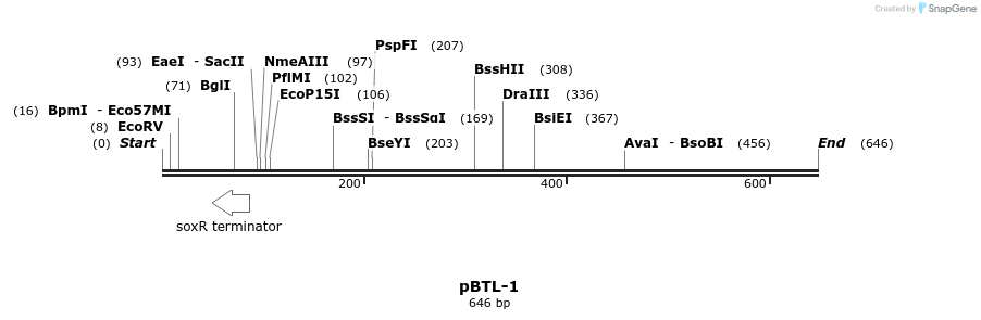 28816_map