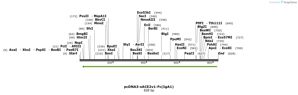 288164_map