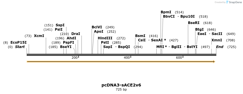 288165_map