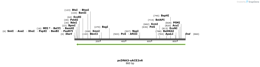 288166_map