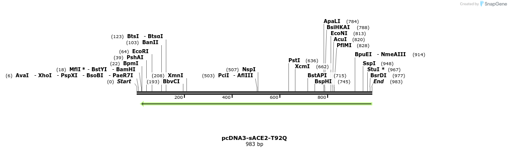 288167_map