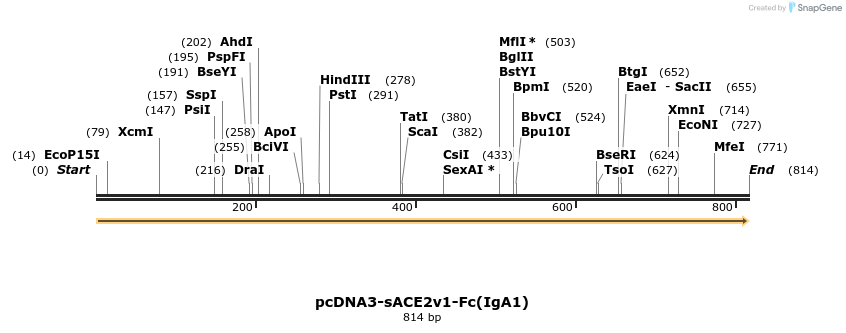 288168_map