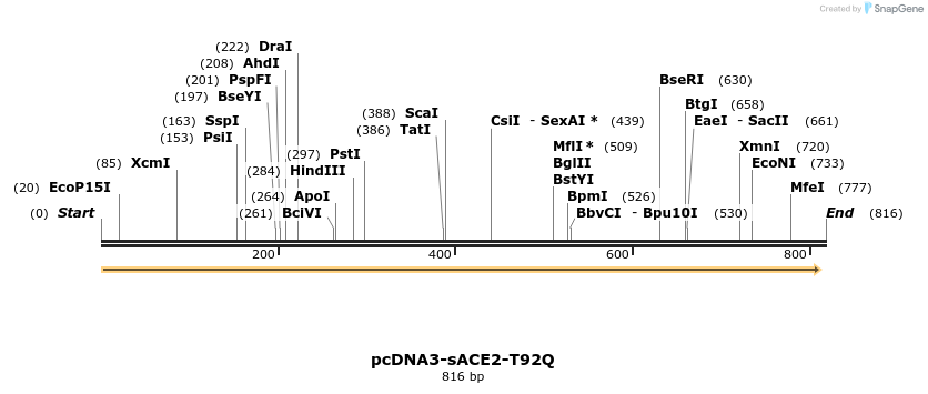 288169_map