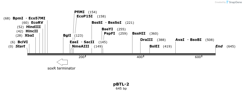 28817_map