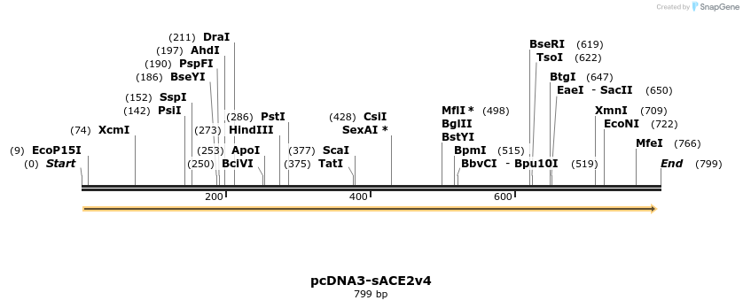 288173_map