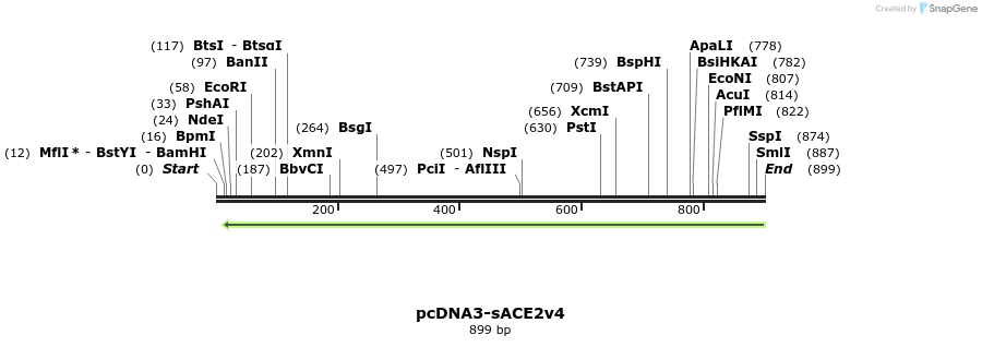 288174_map