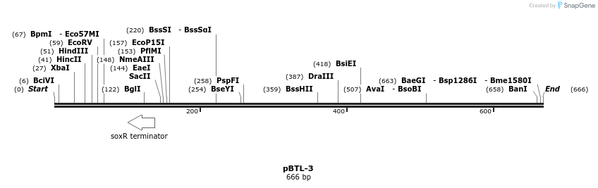 28818_map