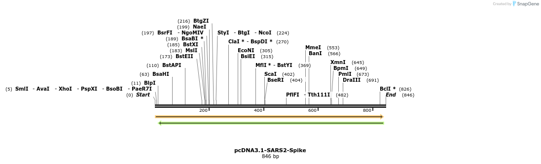 288209_map
