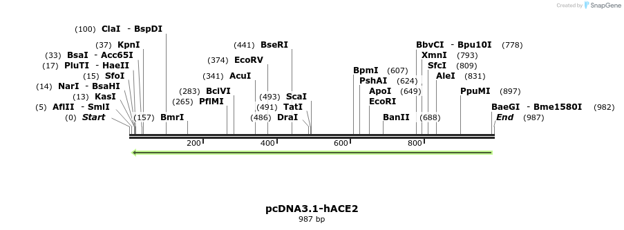 288216_map