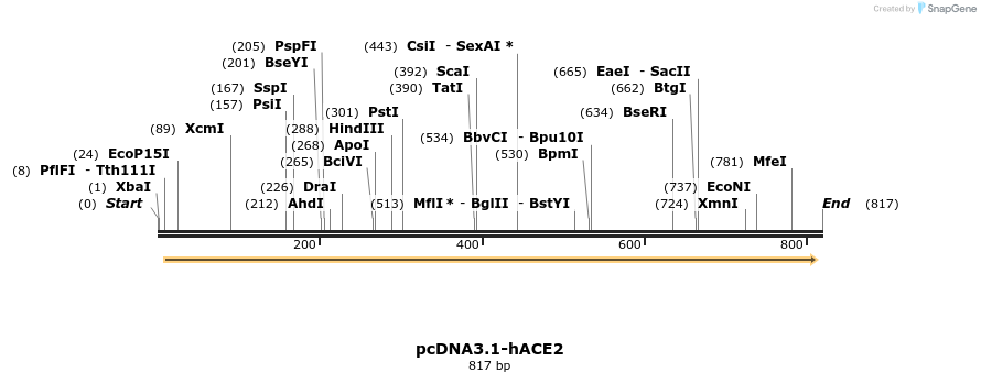 288217_map