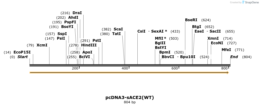 288218_map