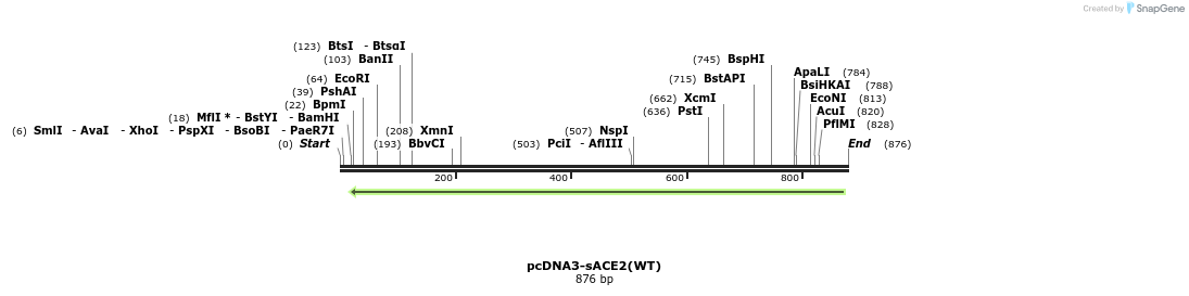 288219_map