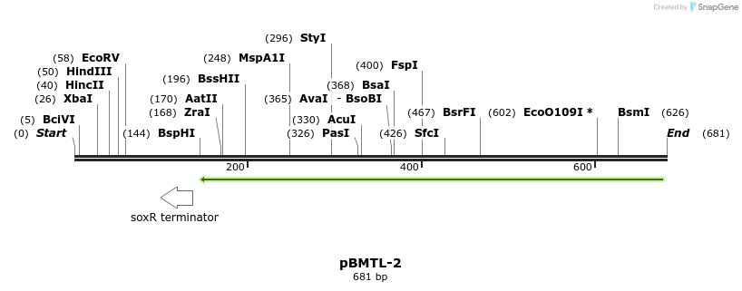 28822_map