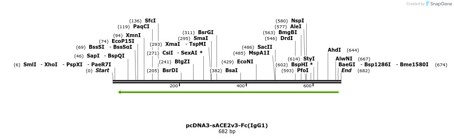 288228_map