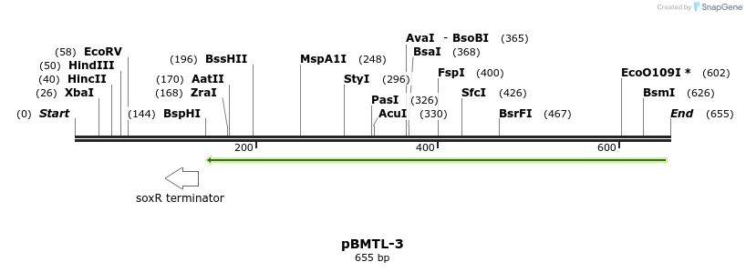 28823_map