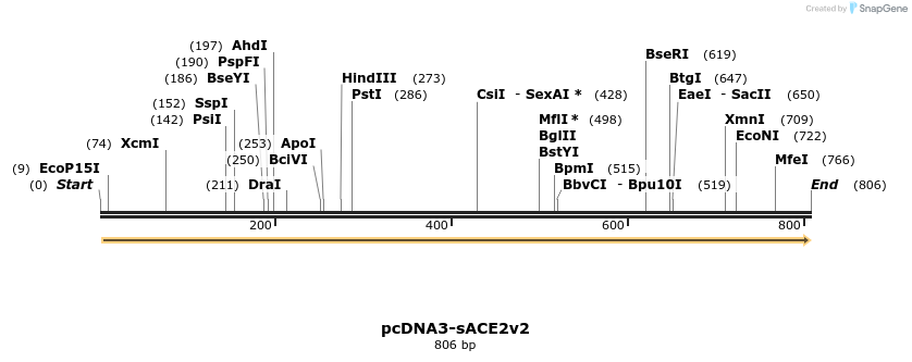 288231_map