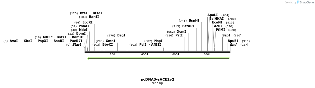 288233_map