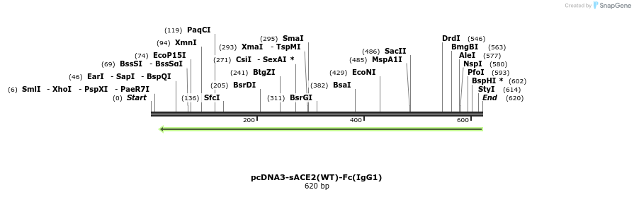288237_map