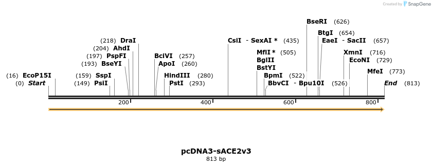 288239_map
