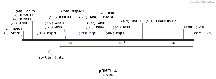 28824_map