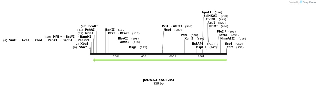 288240_map