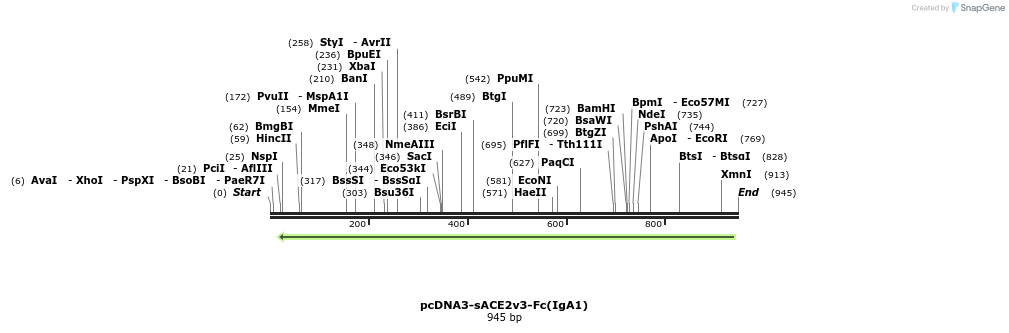 288245_map