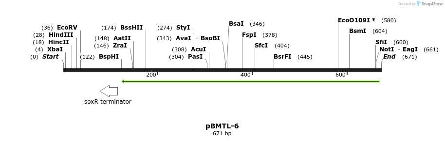 28825_map