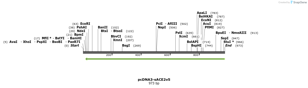 288268_map