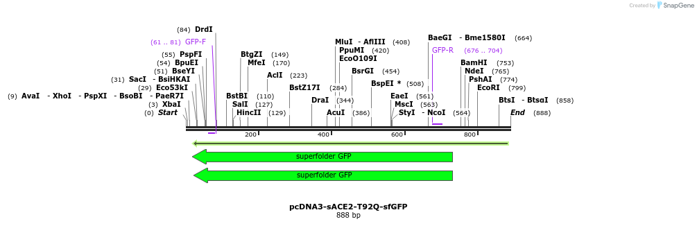 288272_map