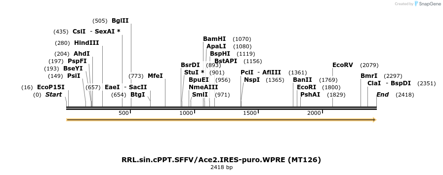288279_map