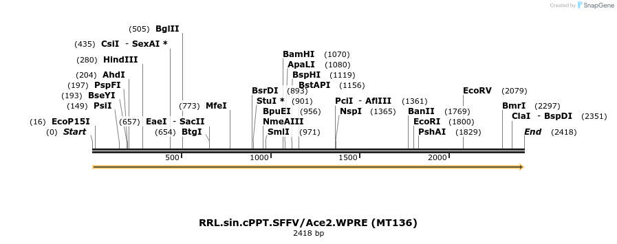 288282_map