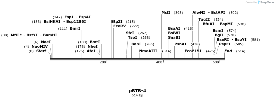 28829_map