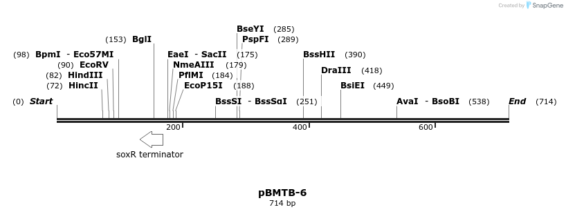28831_map