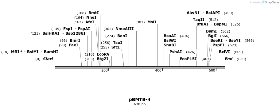 28832_map