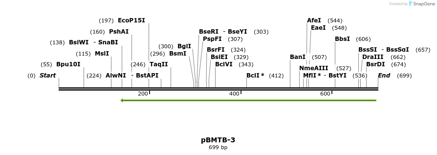 28833_map