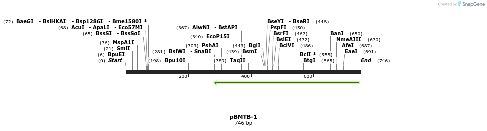 28835_map