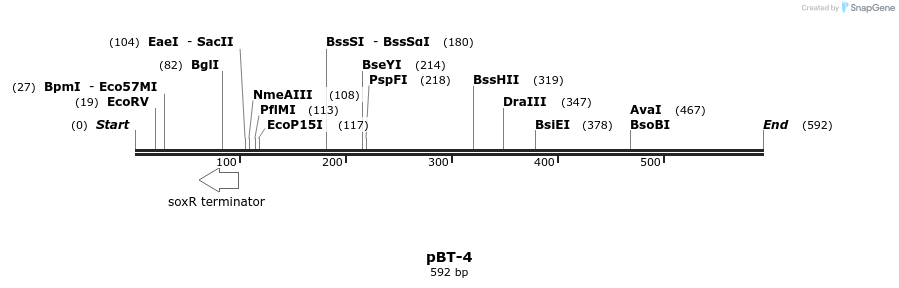 28837_map
