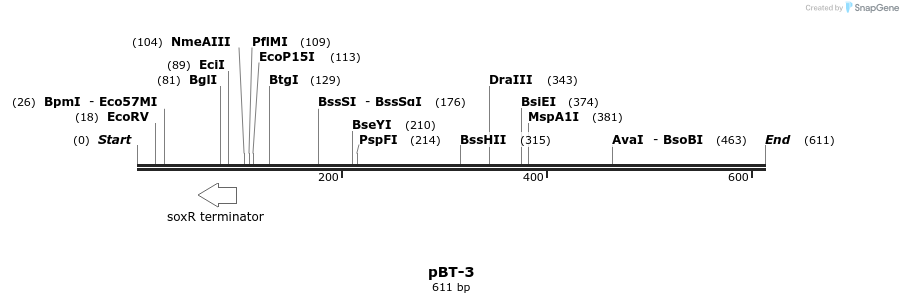 28838_map