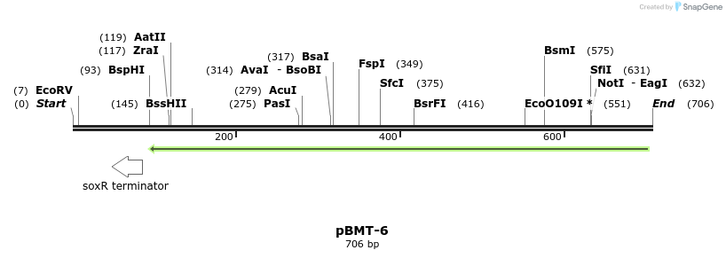 28841_map