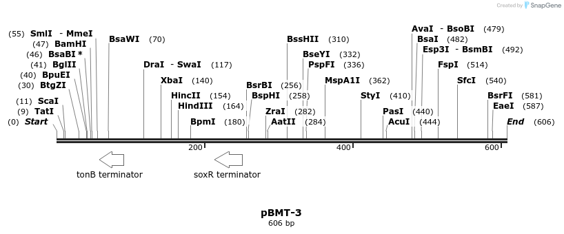 28843_map