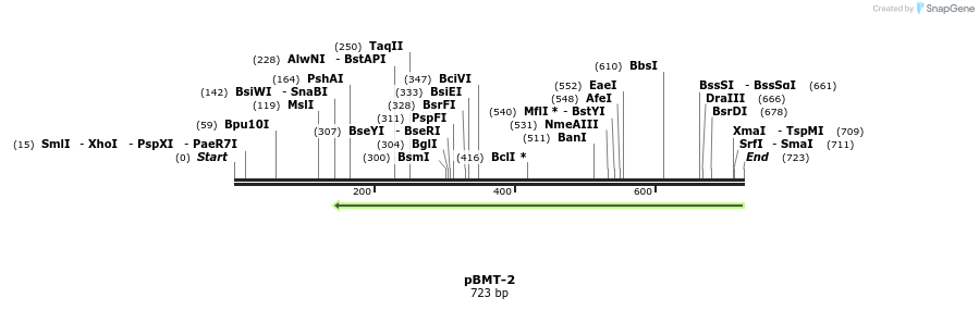 28844_map