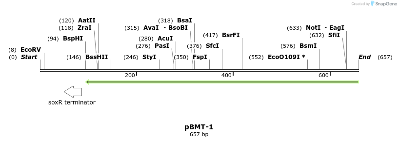 28845_map