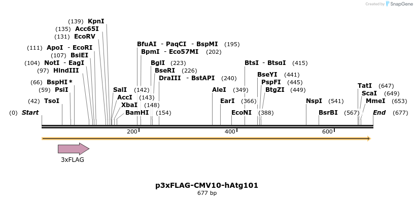 28851_map