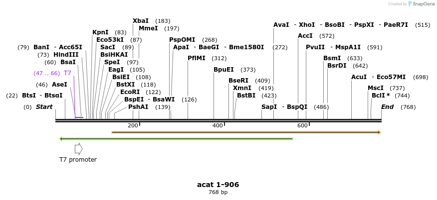 28853_map