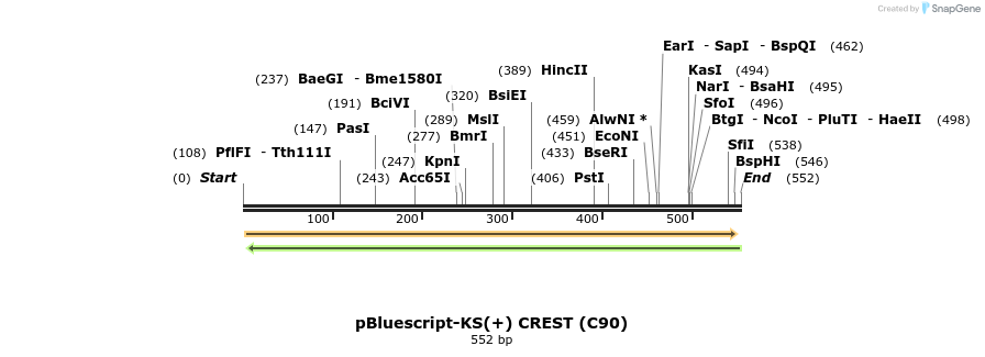 28856_map