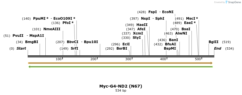 28861_map